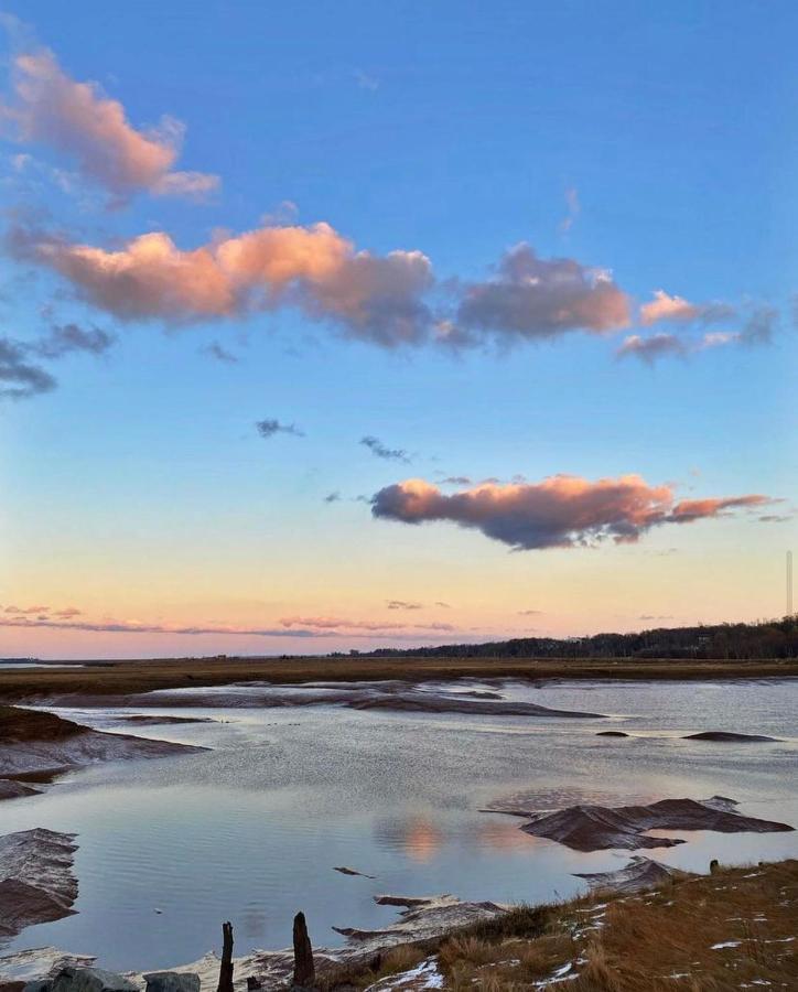 Pink Flamingo 5* Wolfville